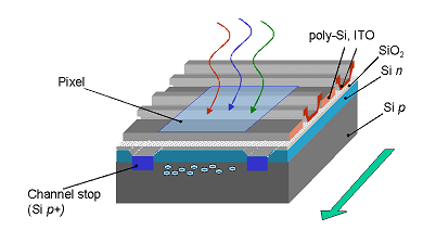 CCD传感器芯片结构图和PCB原理图和布局都是相似的(图1)